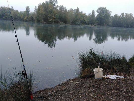 Etang de Vauban (Neuf-Brisach)-4