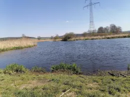 Waldnaab (Luhe-Wildenau)