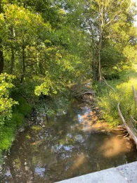 Inde (Aachen-Freund)