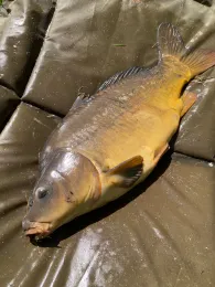 Schlossteiche Freckleben-1