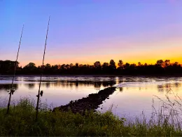 Rhein (Elchesheim-Illingen)-1