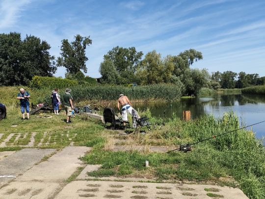 Wriezener Alte Oder (Bralitz)-1