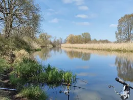 Wriezener Alte Oder (Bralitz)-2