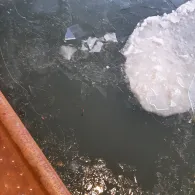 Elbe-Seitenkanal (Hankensbüttel)-1