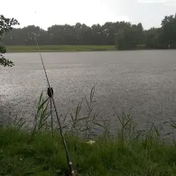 Tammenkolk (Bunderhee)