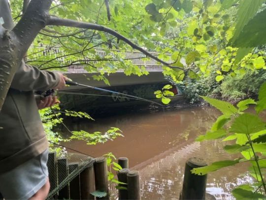 Alster (Wohldorf-Ohlstedt)-2