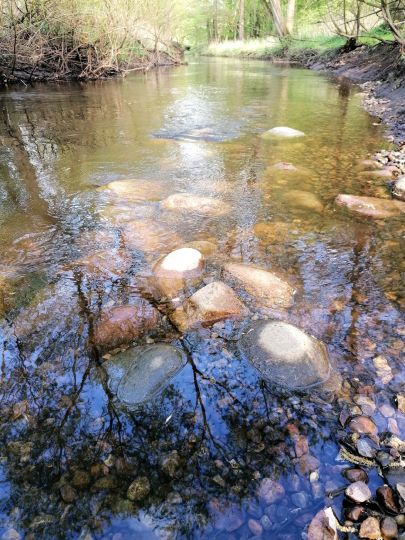 Alster (Wohldorf-Ohlstedt)-1