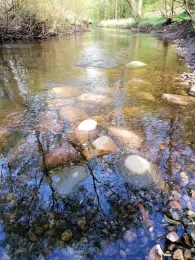 Alster (Wohldorf-Ohlstedt)-1