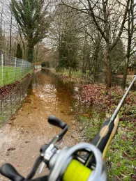 Alster (Wohldorf-Ohlstedt)