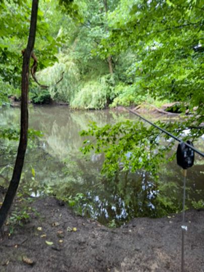 Alster (Wohldorf-Ohlstedt)-4