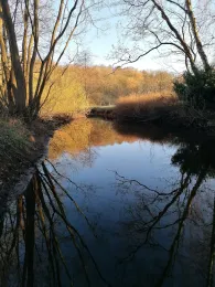 Alster (Wohldorf-Ohlstedt)-3