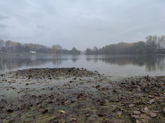 Bielener See-3