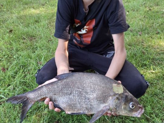 Tonsee (Klein Köris)-2