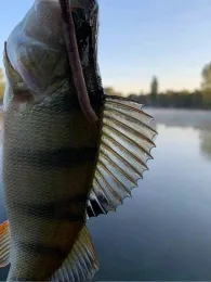 Breitenbacher See (Stadtteich 1 Bebra)-1