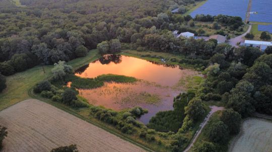 Waldbad (Vockerode)-1