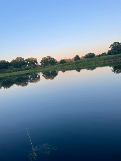 Waldbad (Vockerode)-2