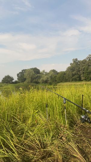 Waldbad (Vockerode)-3