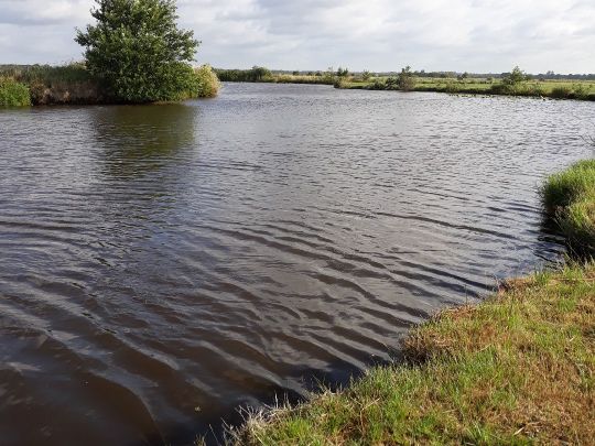 Krummes Tief (Ihlow)-1