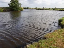 Krummes Tief (Ihlow)-1