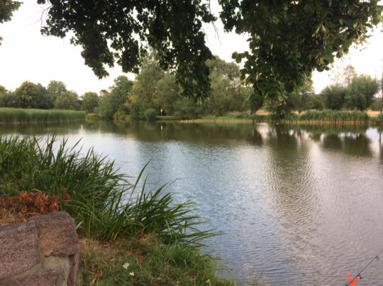 Schwemmteich Niederau-1