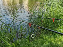 Schwemmteich Niederau-3