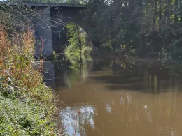 Waldnaab (Neustadt/Waldnaab)-4