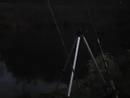 Waldnaab (Neustadt/Waldnaab)-2