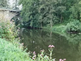 Waldnaab (Neustadt/Waldnaab)-1