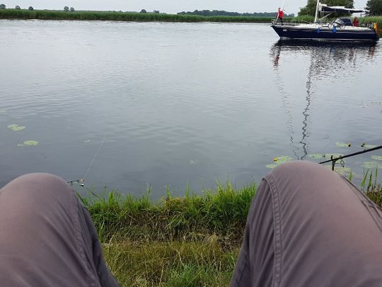 Gieselau-Kanal (Oldenbüttel) angeln