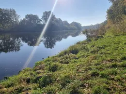 Gieselau-Kanal (Oldenbüttel)-1
