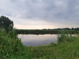 Gieselau-Kanal (Oldenbüttel)-3