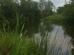 Kesselseil (Lauingen)