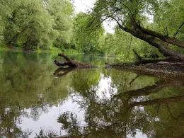 Bellenkopf und Salmengrund-2