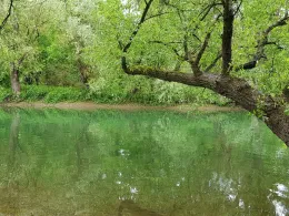 Bellenkopf und Salmengrund