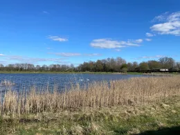 Rennplatzteich (Quakenbrück)-1