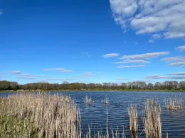 Rennplatzteich (Quakenbrück)-2