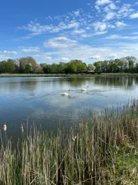 Rennplatzteich (Quakenbrück)-3