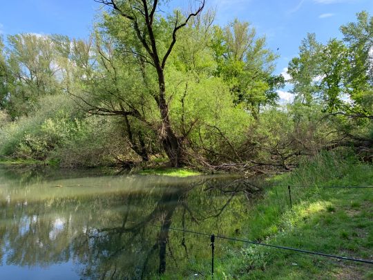 Großer Kiesbagger Wolmirstedt-2