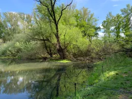 Großer Kiesbagger Wolmirstedt-2