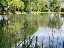 Großer Kiesbagger Wolmirstedt-4