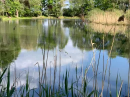 Großer Kiesbagger Wolmirstedt-3