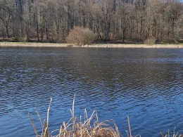 Pastitzer Torfstich-1