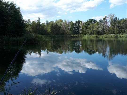 Wilhelmsschacht (Borna)-4