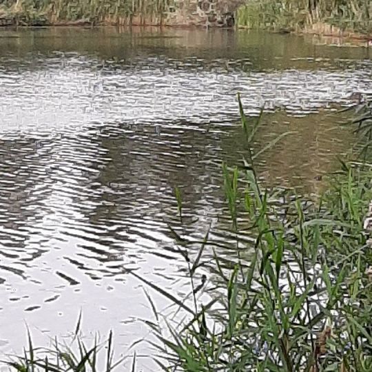 Wilhelmsschacht (Borna)-1