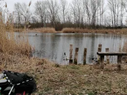 Wilhelmsschacht (Borna)-3