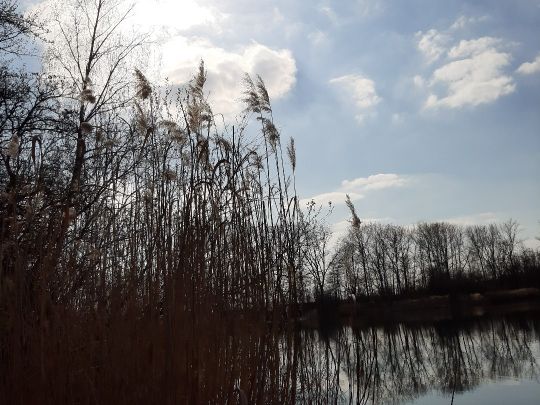 Wilhelmsschacht (Borna)-2