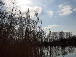 Wilhelmsschacht (Borna)-2