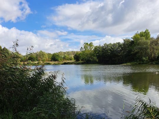 Kiesgrube Katharinenrieth-1