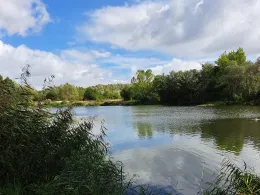 Kiesgrube Katharinenrieth-1