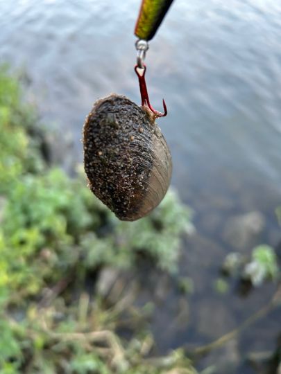 Berghaven (Papenhoven)-4